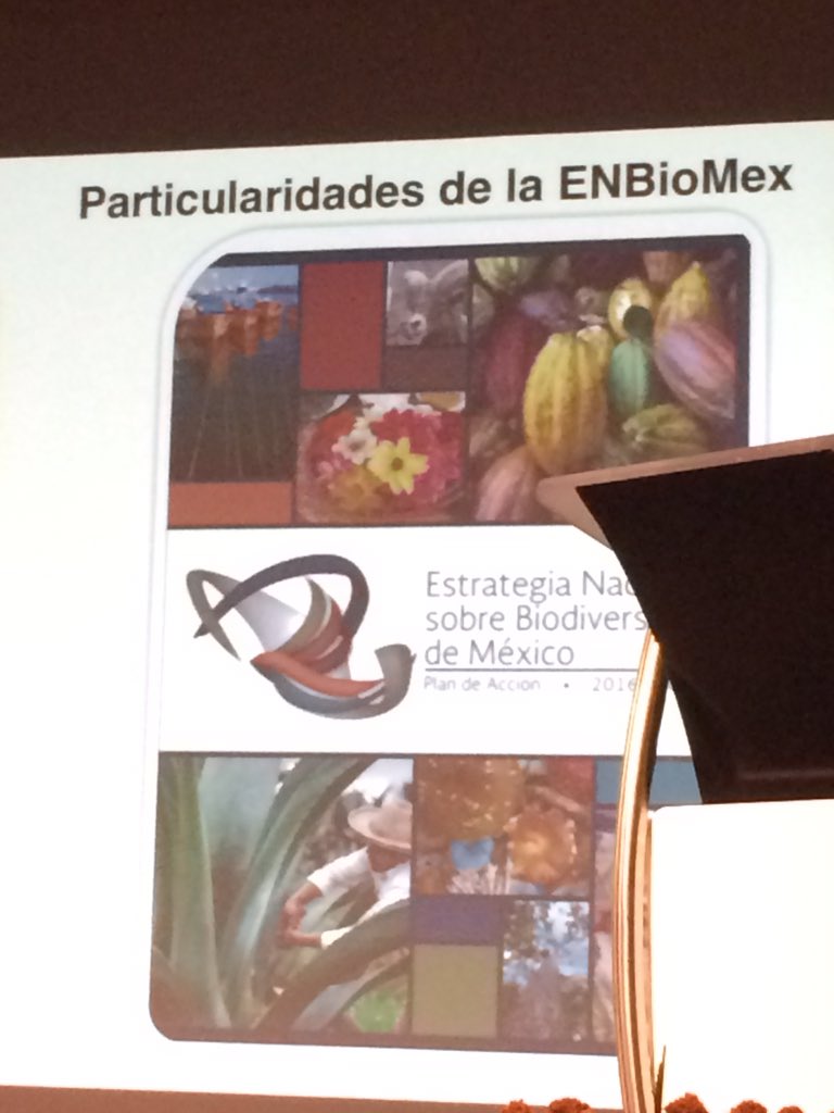 Yesyeco's tweet photo. Ya conocen la #Enbiomex? @Conabio @angonac #ForoUICN @uicn_mx https://t.co/wdYYJM4LvJ