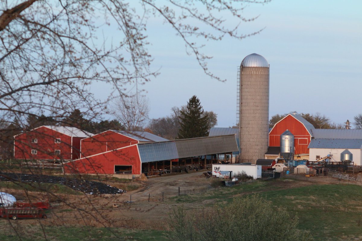 HBieneck's tweet image. I would love to show my cashton eagle pride by sharing these photos of this beautiful village for the 2018 fall color watch photo contest! 🍂 @CashtonWi