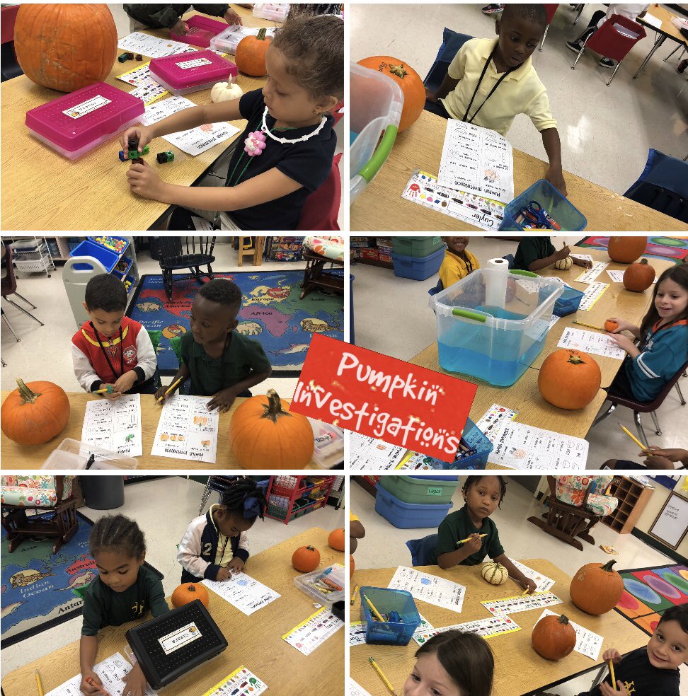 Pumpkin Investigating with my Kindergarteners 🎃