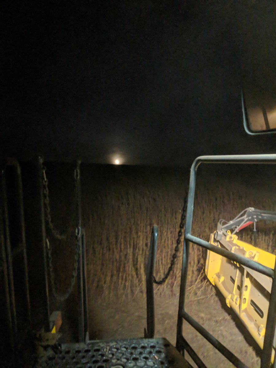 🎵  Lazy yellow moon comin' up tonight
Shinin' through the #beans 🎵 #nittygrittydirtband