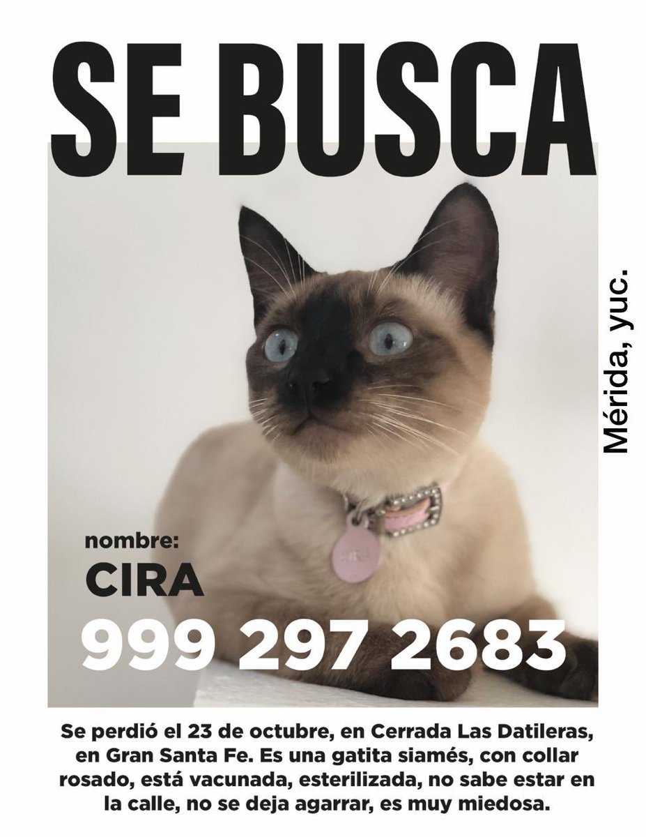 SeducemeMujer's tweet photo. MORRITXS, ATENCIÓN ‼️‼️

Es de una amiga de Merida, por favor ayúdenme a compartir. https://t.co/YQQUbiyjrT