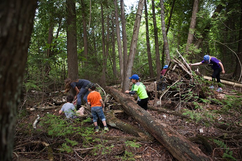 Ontario Parks tweet media