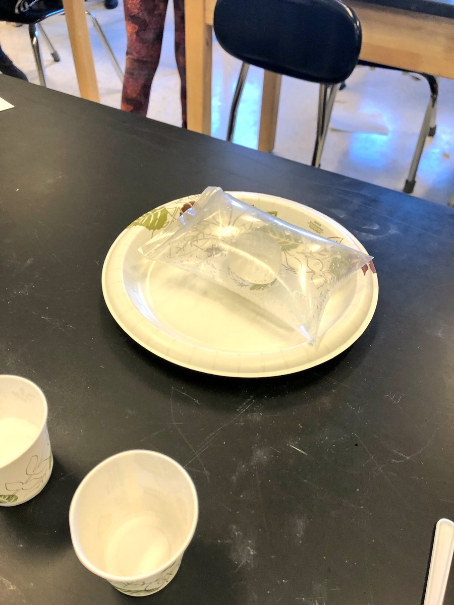 Krueger5134's tweet image. One of the best @MysterySci labs yet...Chemical reactions in a bag! #studentsuperengaged #observeandlearn @jenru12