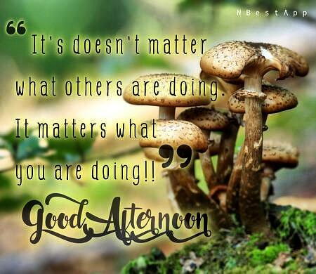 Patricia Edmondson (@triciaruth) on Twitter photo 