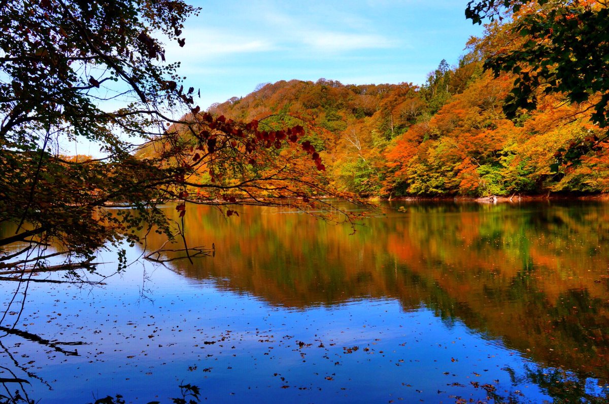 白神山地紅葉