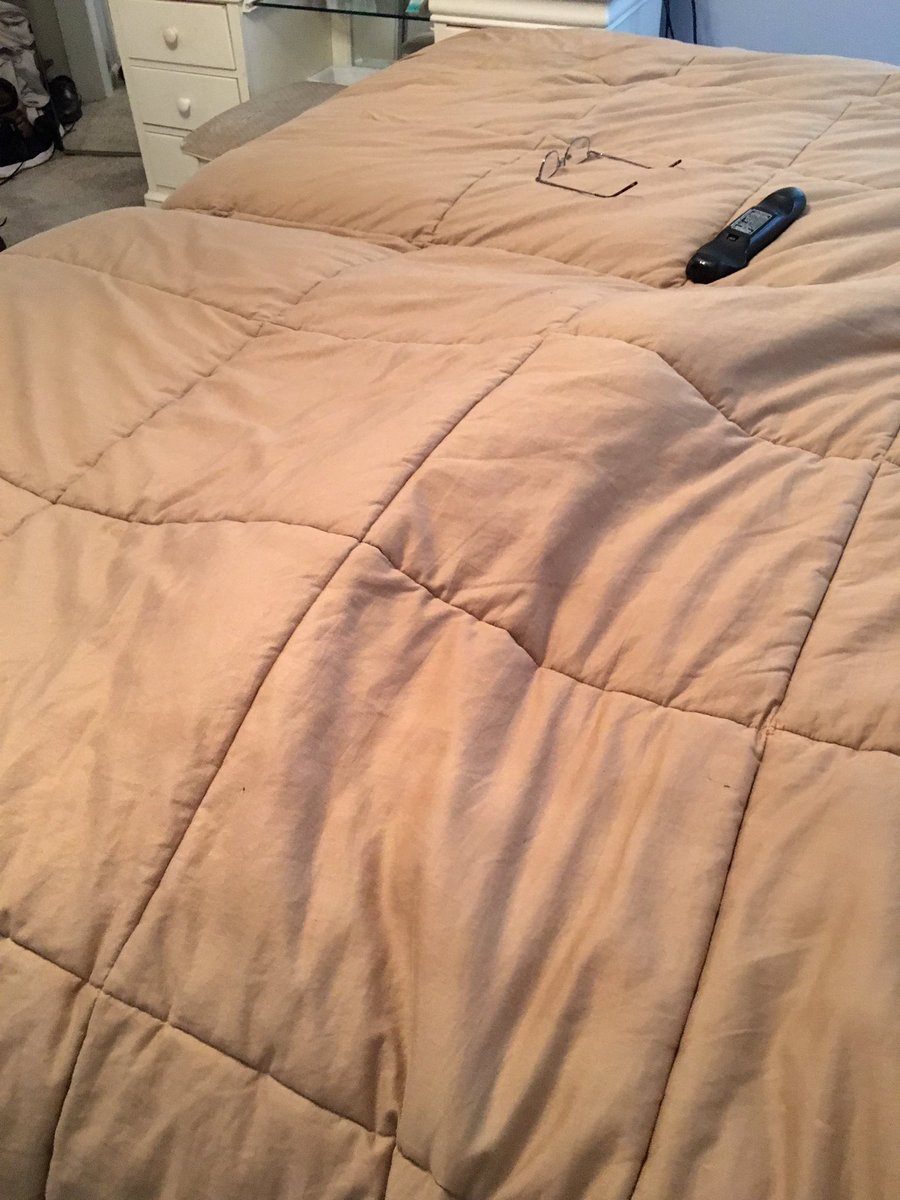 DeanIanucilli's tweet photo. Bubba loving โhisโ sleep Number bed with a dual temp layer to curl up under covers to keep warm and winter soft sheets!! Spoiled dog!! BTW itโs great for us too #SleepNumberPets #SNLife https://t.co/vC2M9zkagY