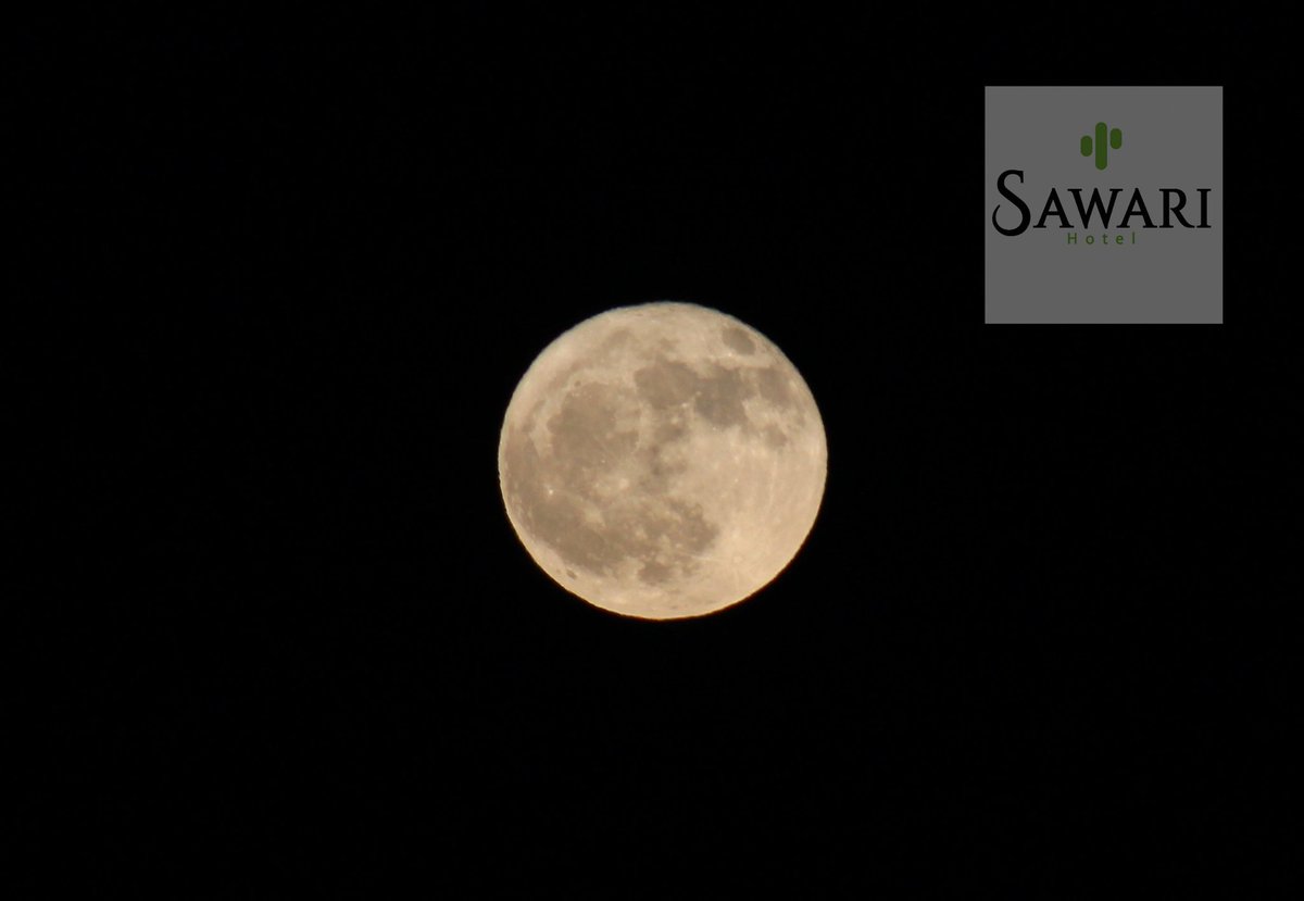 SawariSc's tweet photo. Luna llena este 24 de octubre 2018 con gusto te brindamos esta bella imagen, esperamos sea de tu agrado 
🌗🌔🌒🌙🌕
#lamejorvistadelmundo
#visitsancarlossonora https://t.co/IHsOhlrJXL