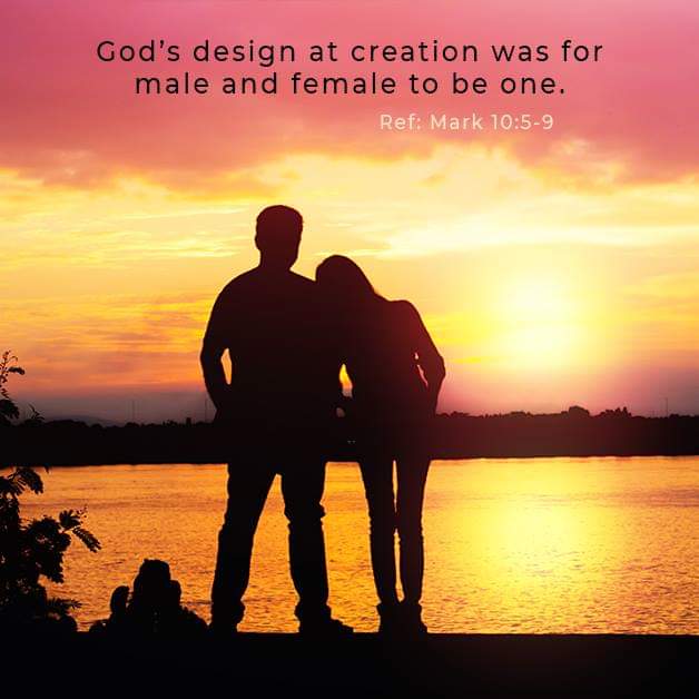 TheCanDec's tweet photo. #Gospel #Bible #scripture #Mark10 #WordofGod #faith #belief #God #Jesus #Christ #Christian #Christianity #religion #inspiration #quote #October #DailyDevotional #spirituality #CanberraDeclaration #Australia #BibleVerse #quoteoftheday #marriage #love #unity #Genesis #Creation https://t.co/0eTP8rH52y