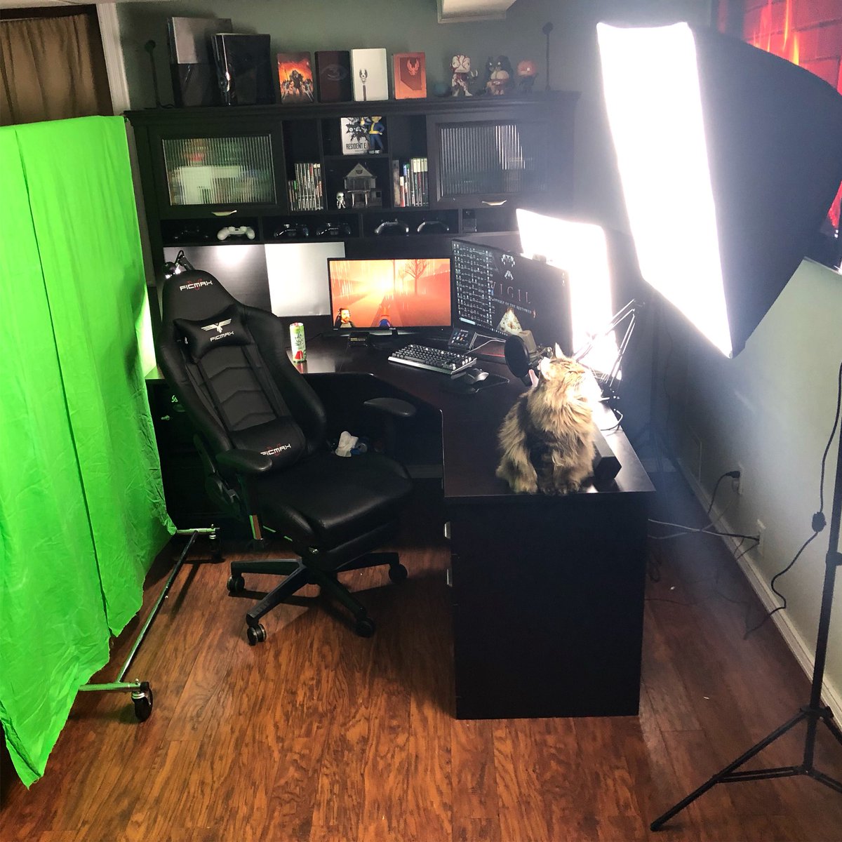 ROEnetwork's tweet photo. The ROE live streams just got a big improvement in quality! Got the green screen and lighting all set up. Now it’s time to play some horror games. Happy #roetoberfest ! 🧟♂️👻🎃 https://t.co/MN1wlrrHmU