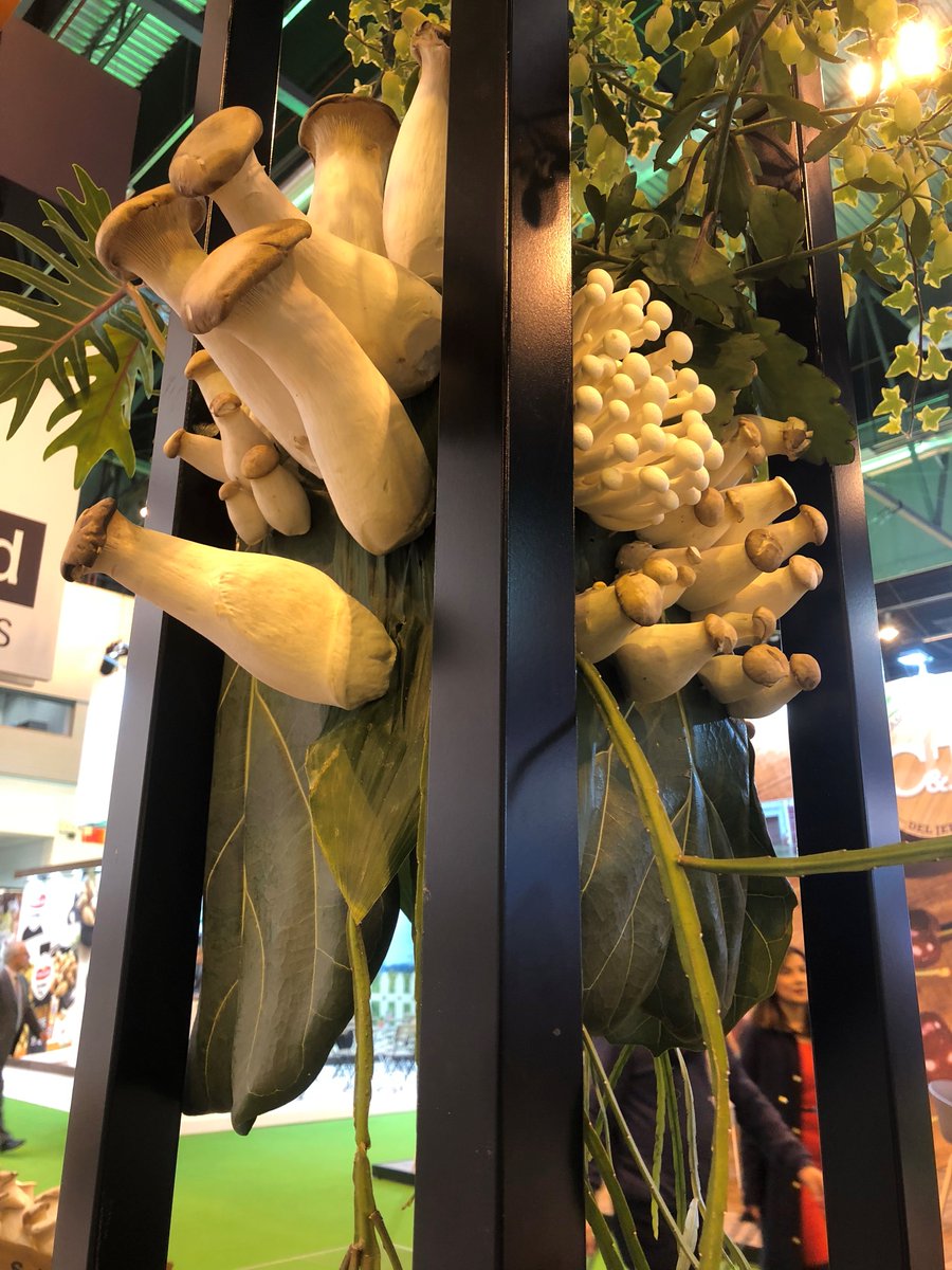 Banken Champignons tweet media