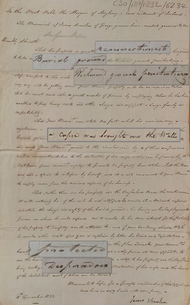 NARIreland NARIreland