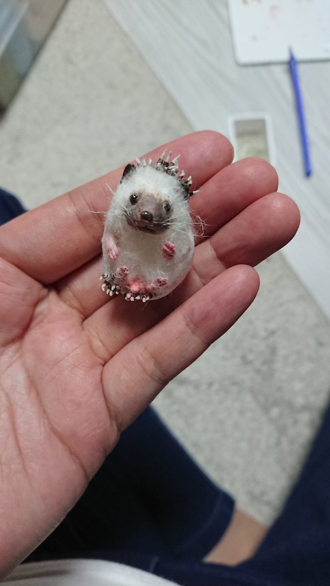 あとりえsoeru Pa Twitter 制作中 はりねずみ ハリネズミ 樹脂粘土 羊毛フェルト レジン Hedgehog Tinystuff