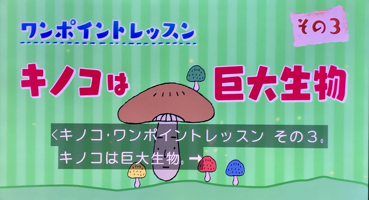小6にして日本菌学会に所属し 最年少で植物園での標本採集許可を与えられた女子が登場 キノコの驚きの生態を紹介 又吉直樹のヘウレーカ Togetter