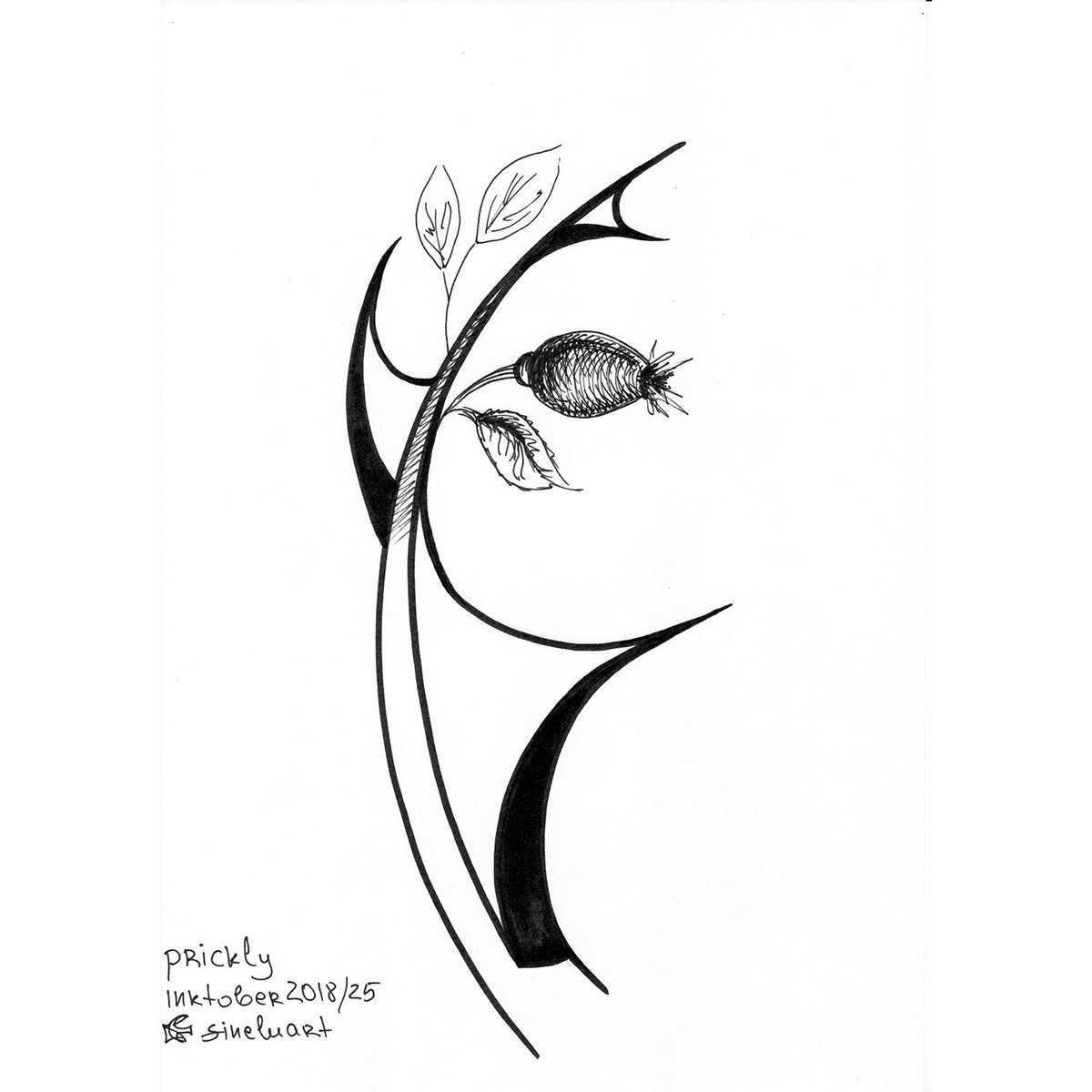 fineluart's tweet photo. Day 25: #prickly
#inktober #Inktober2018 #Inktober2018day25
#sketch #drawing #ink
#fineluart https://t.co/jIcJQYRmfu