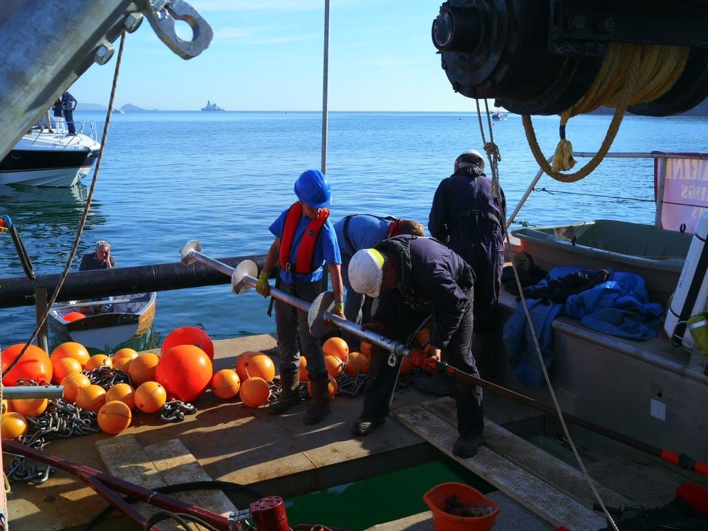 NE_DCIoS's tweet photo. Good to be on hand yesterday at the installation of new #seagrass friendly moorings near #Plymouth. Its important habitat for #marine #ecosystems and the new system should prevent damage from traditional moorings. @NMA @mcsuk @_PrincessYachts https://t.co/kzvaZMmcRA