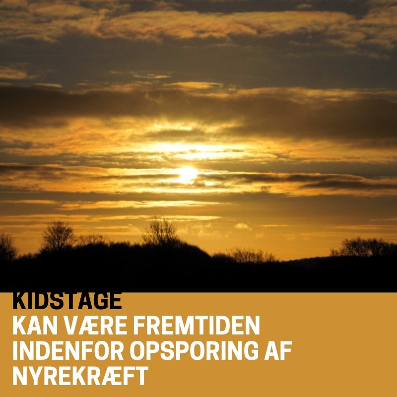 Louise Geertsen tweet media