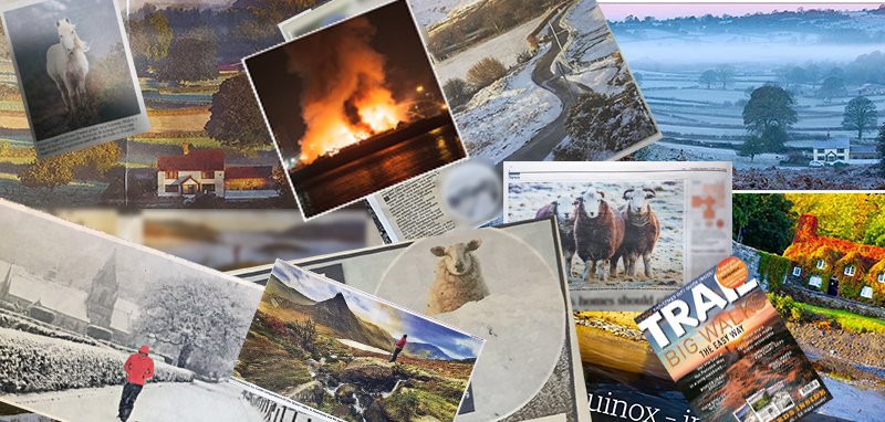 DGDImages tweet media