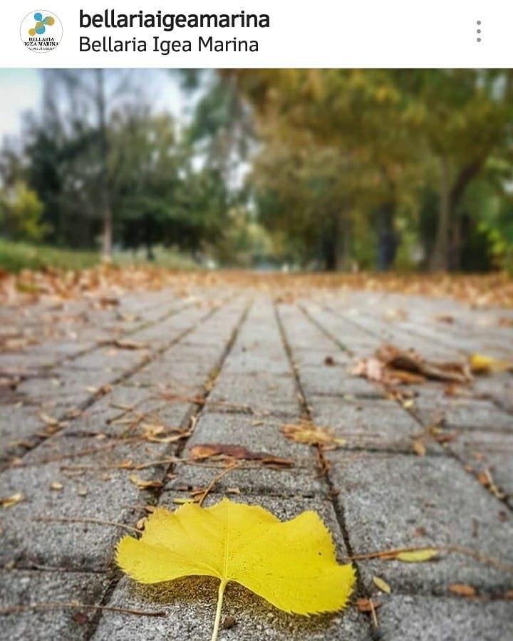 Prime istantanee dell'autunno romagnolo!