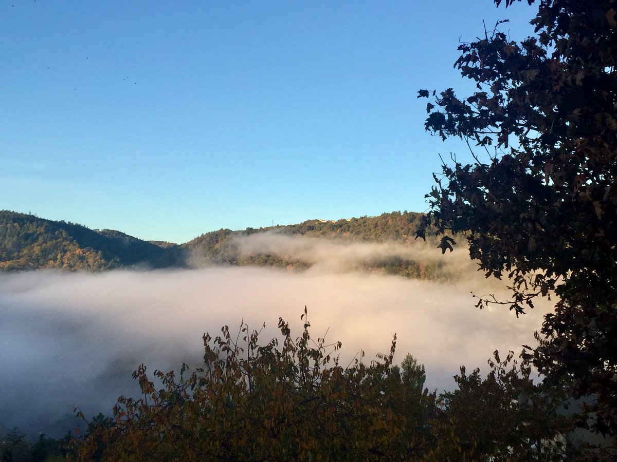 DelphLingemann's tweet photo. Petit-déjeuner au-dessus des nuages ☁️ ☀️ 🍁🍂 L’#Auvergne est belle 💚💙💛 https://t.co/yNzKuJ4pUE