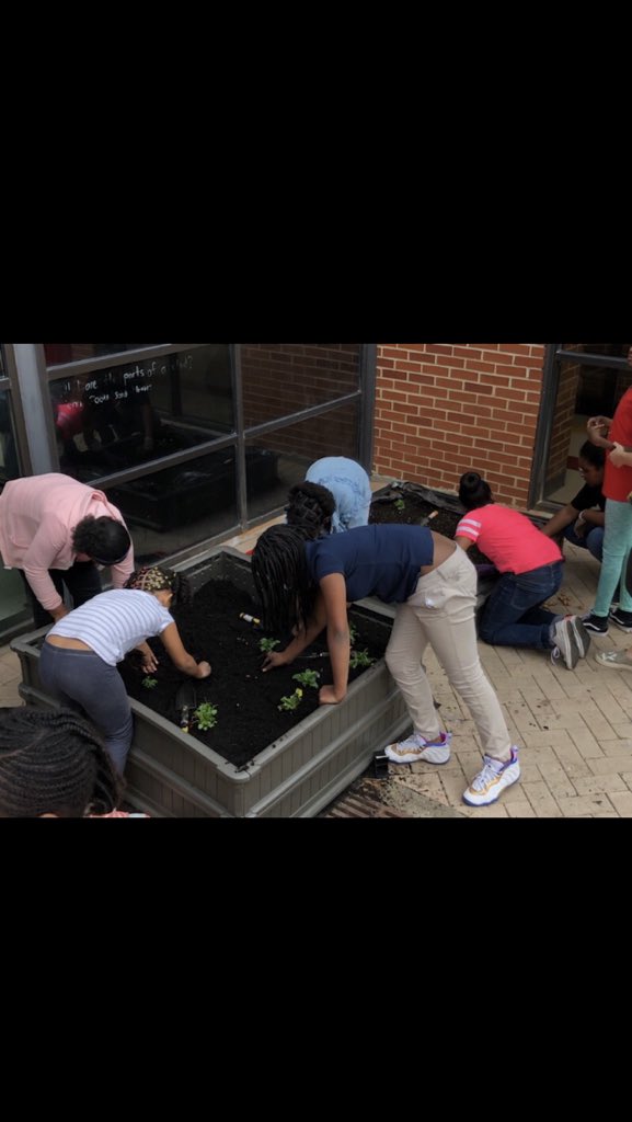 Conley Hills Girl Scout Troop #19707 sprucing up the school courtyard by putting together an extra garden box, pulling weeds, picking up trash, and planting bulbs and flowers.