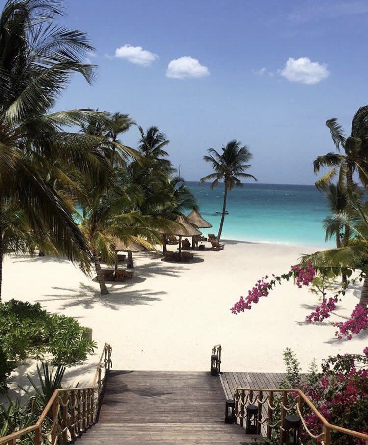 gypsytours's tweet photo. #Twendezanzibar 
Msimu wa sikukuu umewadia ..🏝🏊🏻‍♂️✈️ Gypsy tours tuna mengi ya kufurahisha nakunogesha trip yako DECEMBER hii🏄🏻‍♀️🐬
Kujua mengi zaidi  kuhusu offer hii tutumie barua pepe :
info@gypsytanzaniatours.com
https://t.co/gAGZqHpasG
Na kutembelea tovuti yetu https://t.co/Z80OjWss1D