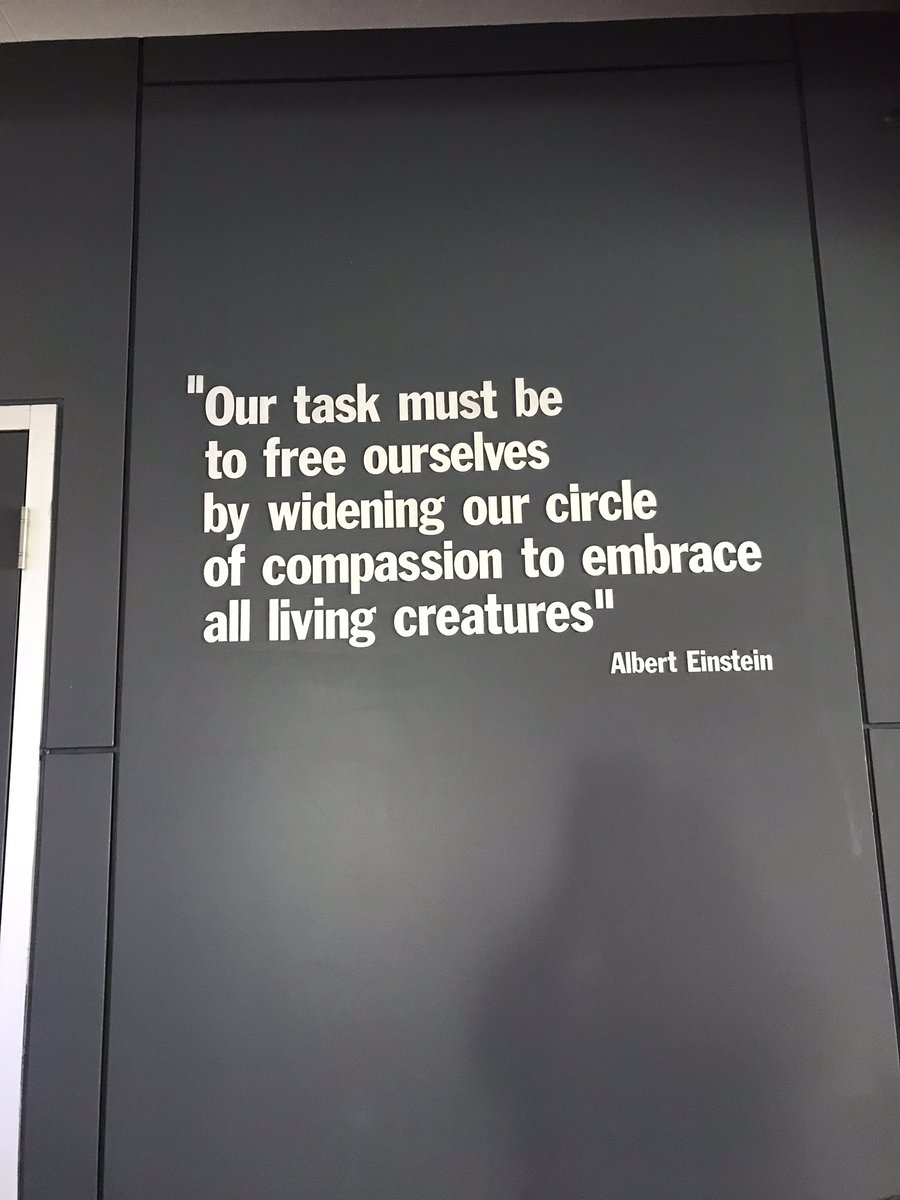 OnswitchLtd's tweet image. Alison is in Melbourne and having a fab day 
#FirstContactResolution #FirstCallResolution #FirstConsultResolution #cx #learning 👍✈️🇦🇺🕷🐍😎
On to Brisbane