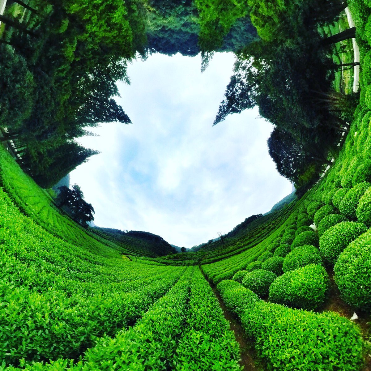 Smartcloud6's tweet image. Inception. 
Photo of the day @陳小
#insta #insta360 #insta360one #vr #360