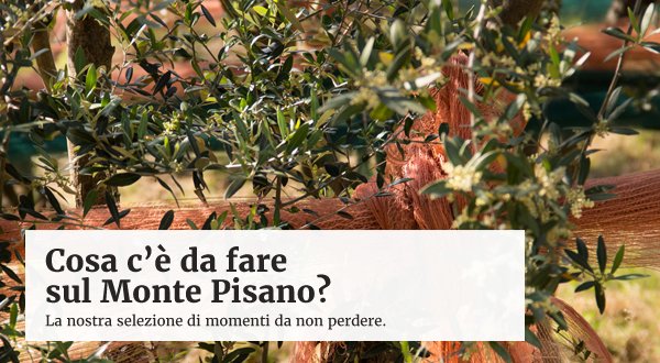 online Il Romanticismo online Il Romanticismo