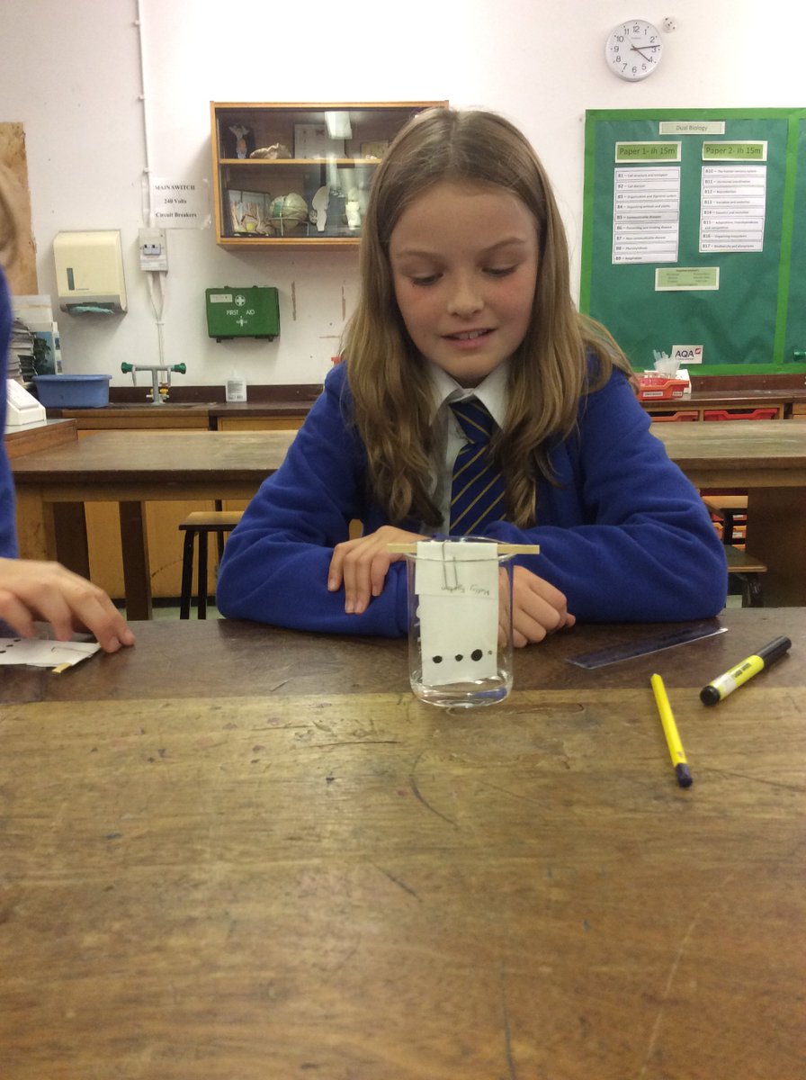 EatonBank's tweet image. Pupils from @mossley_primary have taken part in our @ScienceEba Club with Mrs Stone. They used bunsen burners to burn copper and magnesium and did some chromatography to separate the inks in black pens. All were brilliant and enthusiastic scientists! 😀