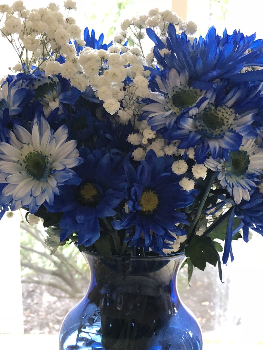 JulieFMaloney's tweet photo. I’ll be st the Peapack-Gladstone Library tonight. 7pm. And yes, there’s a blue flower theme in my literary thriller. #amatterofchance https://t.co/RvBnM82Sei