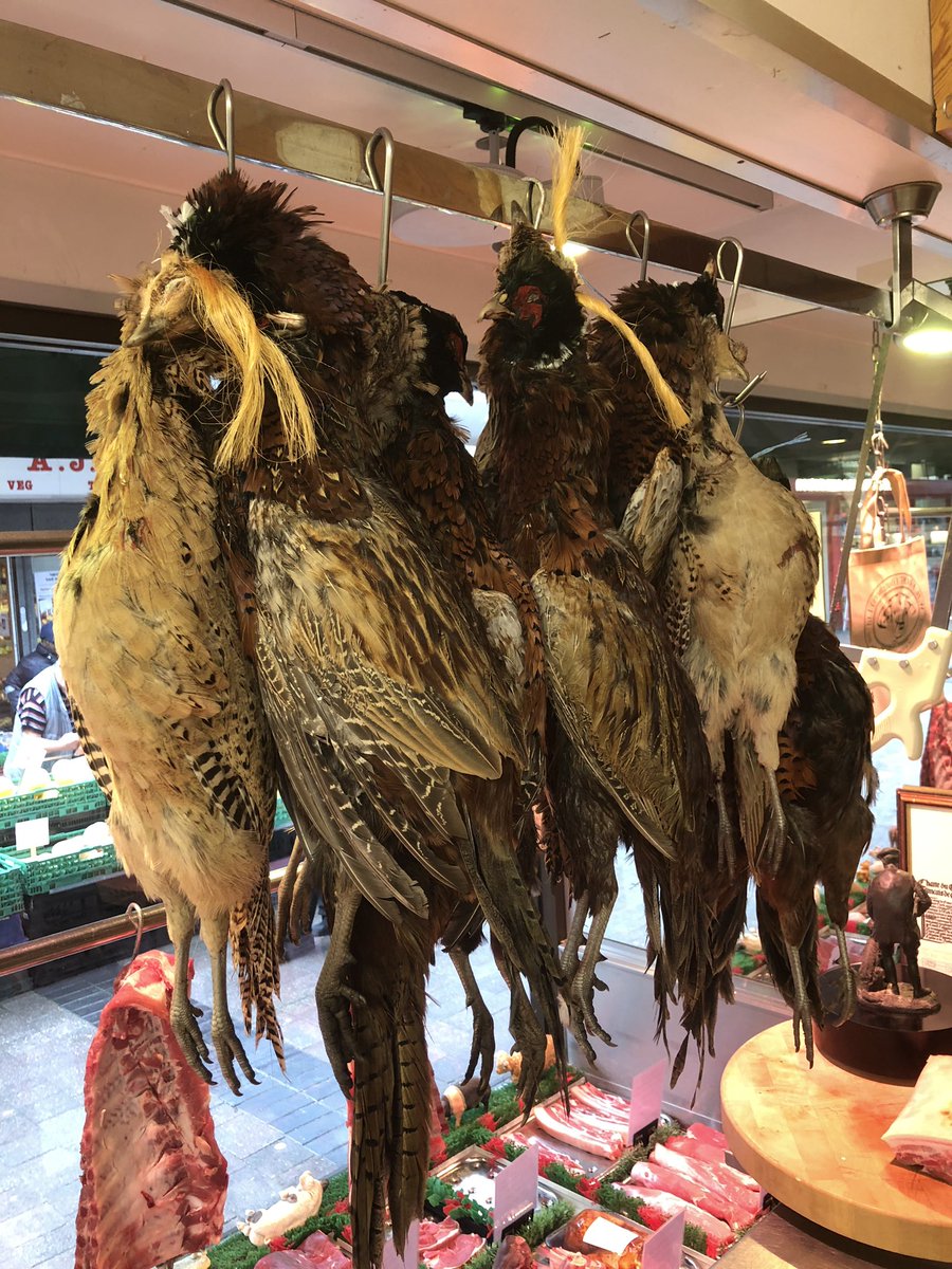 FREE PHEASANTS IN THE SHOP 

COME AND GET EM #CHORLTON