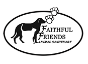 LAReaders's tweet photo. Adopt a Pet (Support a Shelter)-NC area: Faithful Friends Animal Sanctuary
https://t.co/auKb2asArY
@FaithfulFriendsAnimalSanctuary
#adoptapet #supportashelter https://t.co/ik5nlAgZ9I