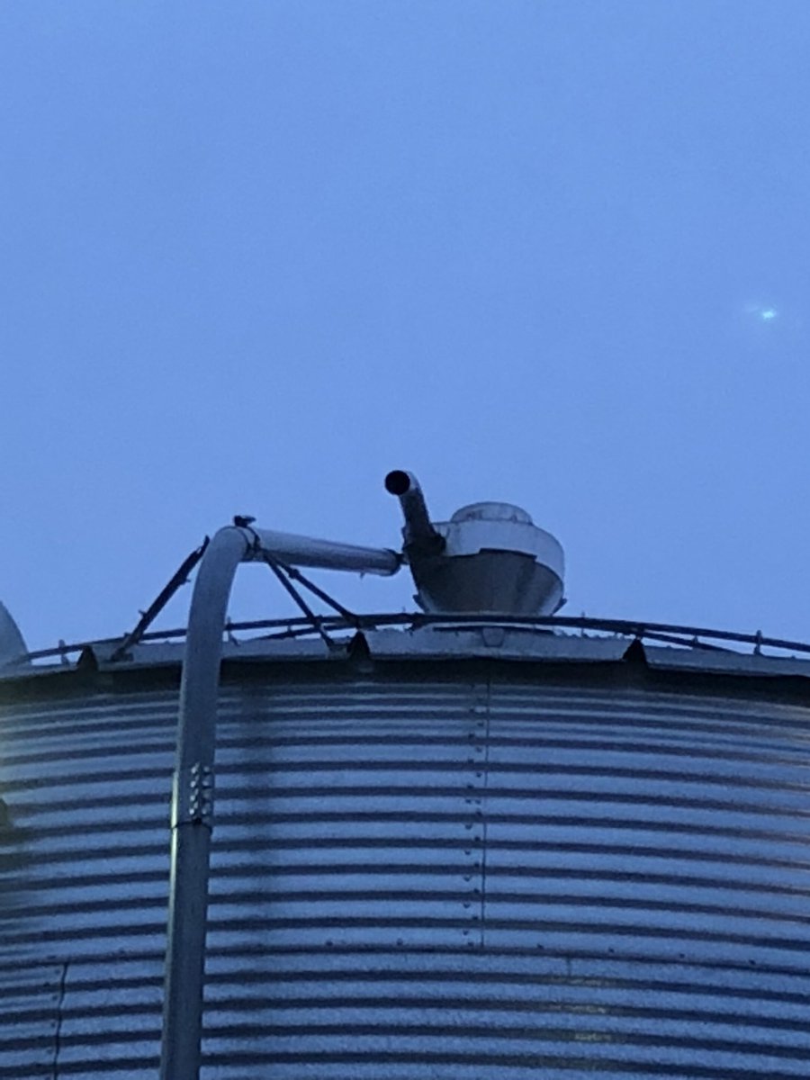 BrentKohls's tweet photo. There’s #cabcorn then there’s #yardcorn could have been worse. #nightshift I got lucky https://t.co/zugbnSpmd1