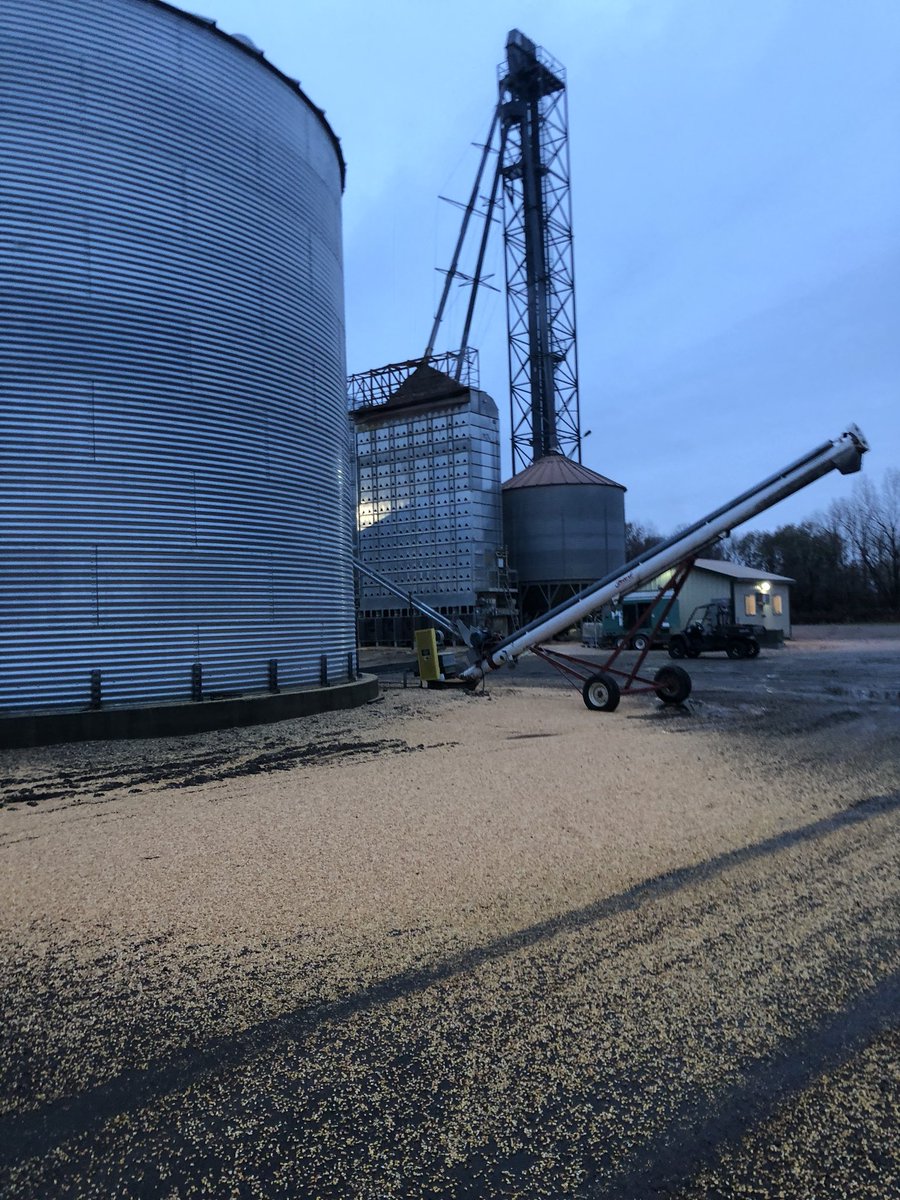 BrentKohls's tweet photo. There’s #cabcorn then there’s #yardcorn could have been worse. #nightshift I got lucky https://t.co/zugbnSpmd1