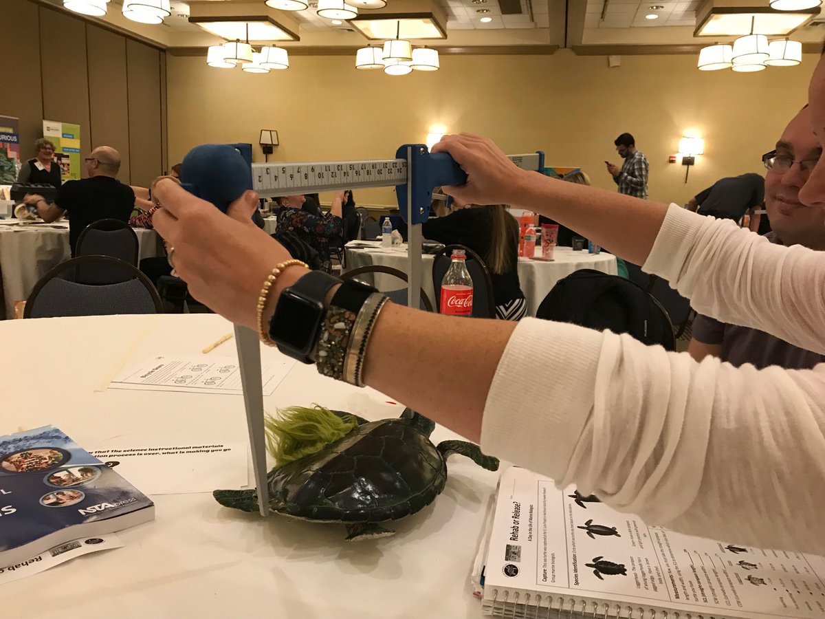 rjlucas28's tweet photo. Authentic Modeling Experiences at #FASS2018 with IRG! https://t.co/371vD9eRvb