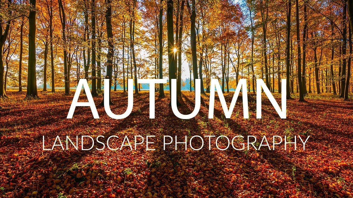 Brusheezy tweet media