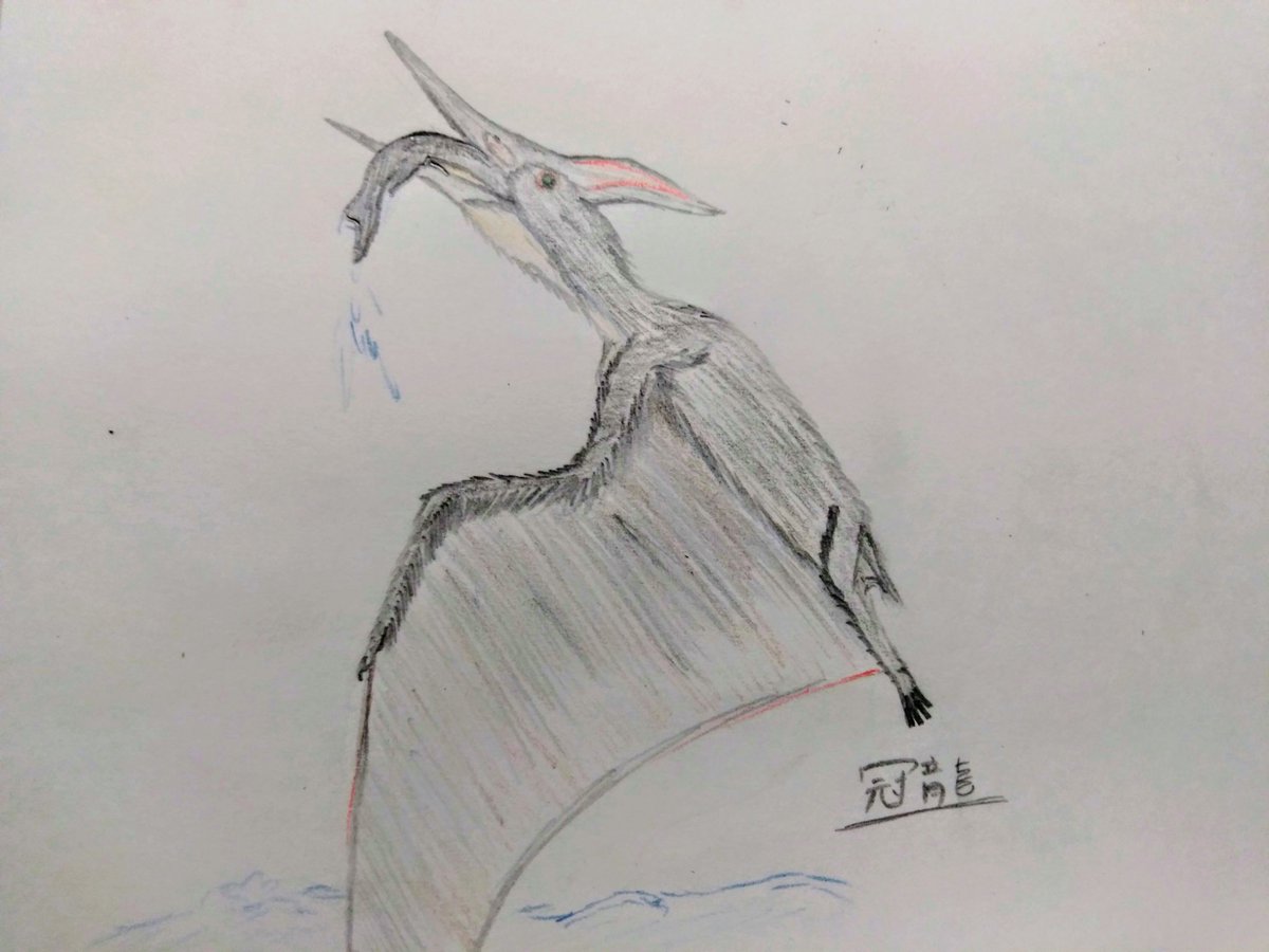 冠龍 カナヅチワニモドキ オフィアコドン の記事完成 على تويتر 天空からの逆襲 プテラノドン がいっつもモササウルス類の餌食になっているので 今回はモサ類の子供がプテラノドンに拐われたイラストを描きました 久しぶりのカラー作品です 冠龍 古生物