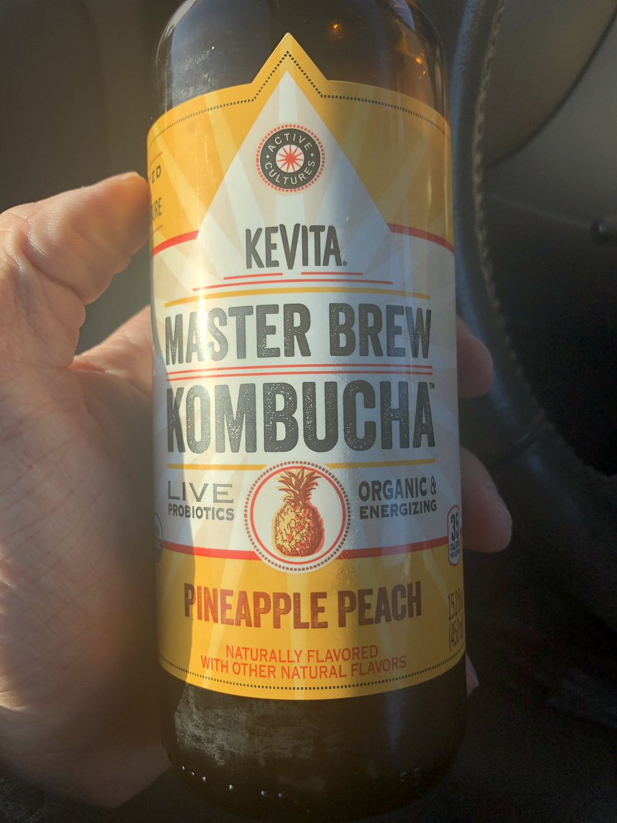 ForgeNutritionU's tweet photo. Why Kombucha?! Because they provide a rich source of probiotics and the benefits of green tea π€ #forgerx #nutritioncoach #kombucha https://t.co/xJtQTO8LaM