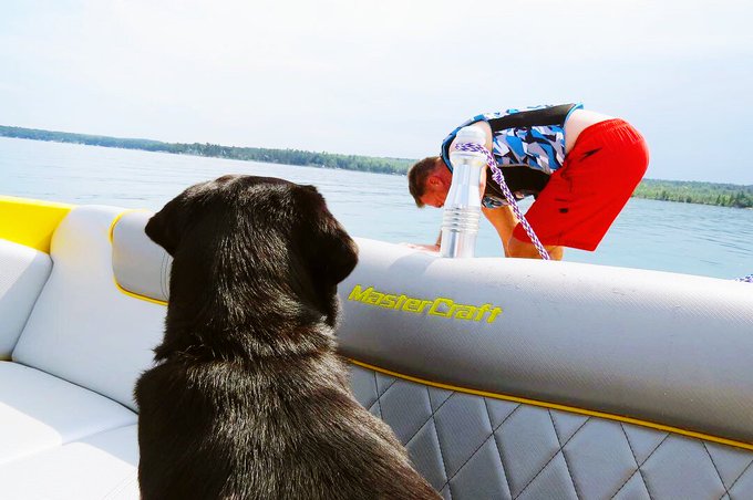 Airhead Towables, Snow Tubes, Floats, Wakeboards & More