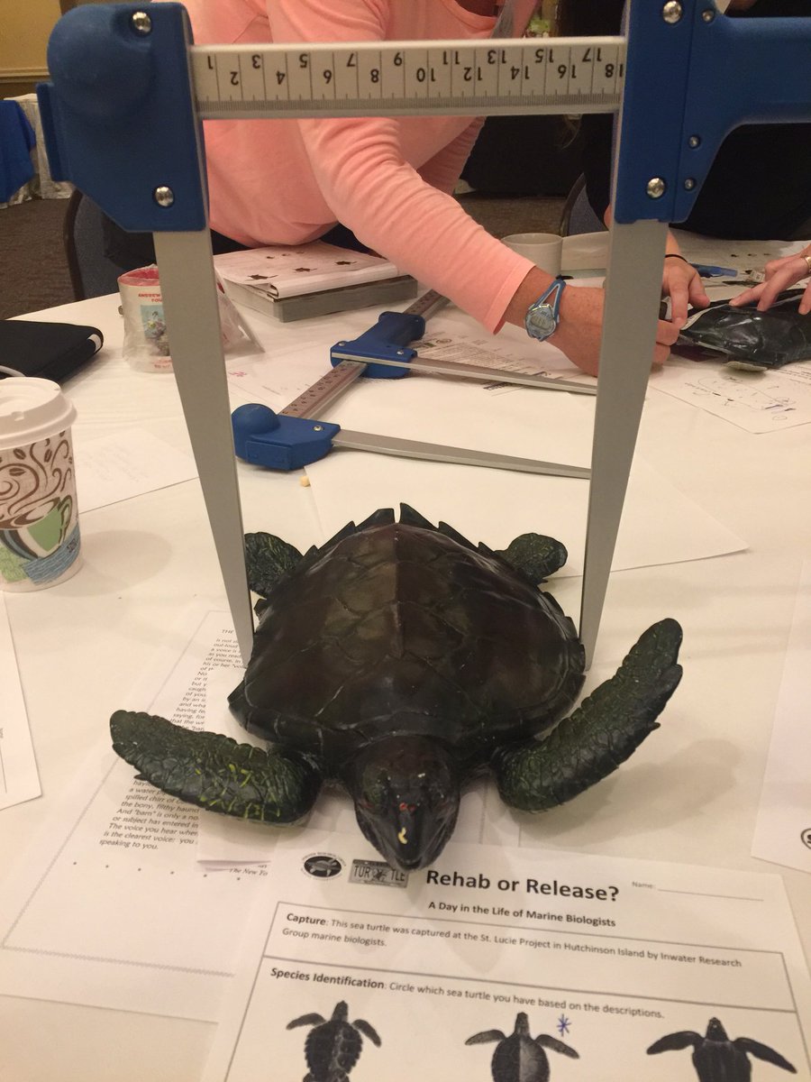 LesleyKirkley's tweet photo. In love with this important activity by @ResearchInwater #FASS2018 @SciencePasco https://t.co/mt28TVe62J