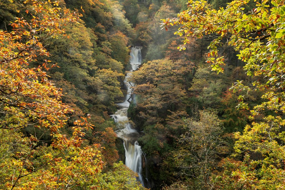 visitceredigion's tweet image. Gorgeous #autumn colours at #DevilsBridge this year #Ceredigion #CambrianMountains #FindYourEpic bit.ly/2EIaf9V
