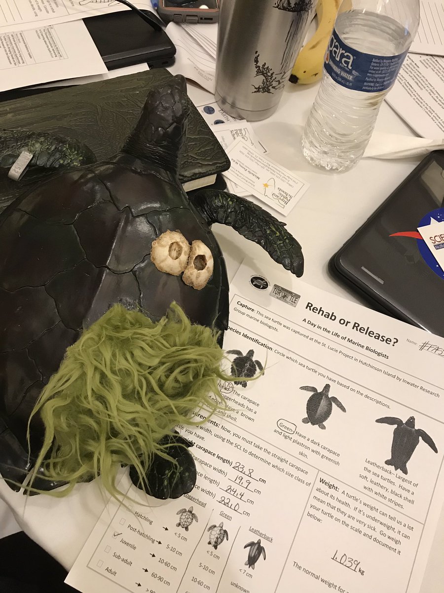 PBCSDScience's tweet photo. Thanks for the great lesson! In Water Research Group @FLSciSuper #FASS2018 https://t.co/Pau2QFu2Vh