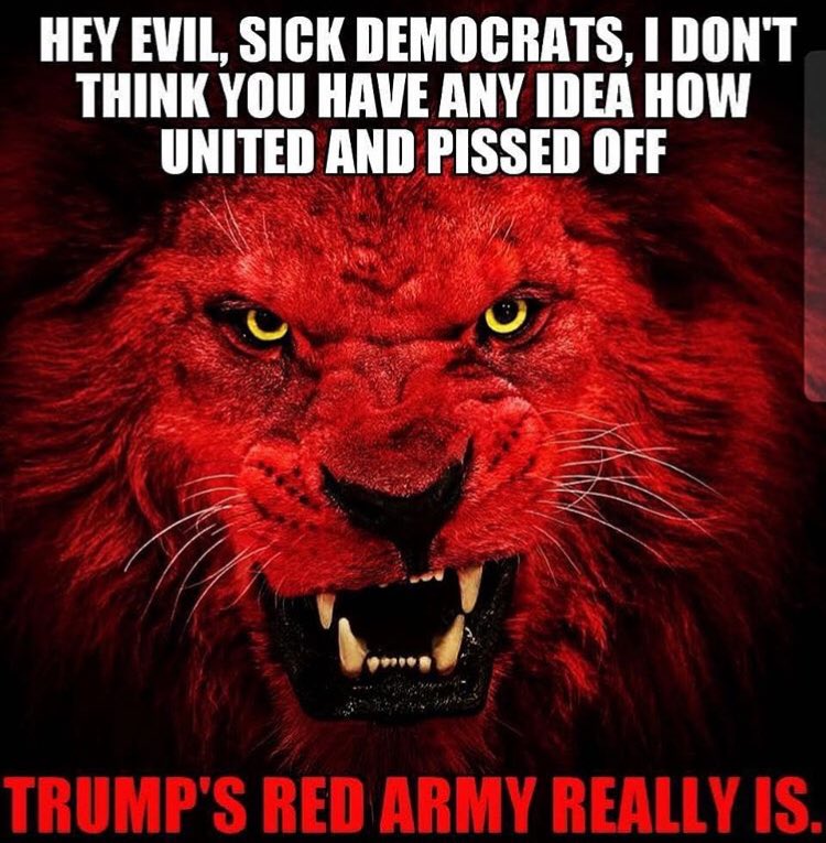 MSAPatriot's tweet image. Occasionally you give a glimmer of sanity...this is not one of those times! 🤦🏼‍♀️ You go ahead w/ #Russia &amp;amp; I’ll go w/ Dem #BombGate #BombHoax  Let’s see who’s right?! 🤔 #VoteDemsOut #AmericaFirst #RedTsunamiComing #MAGA #WalkAway