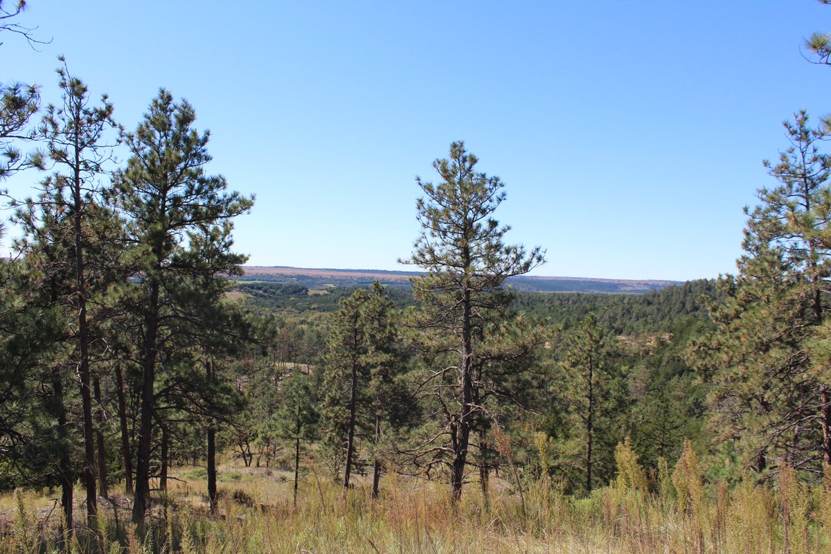 Lashley Land (LashleyLand) Twitter