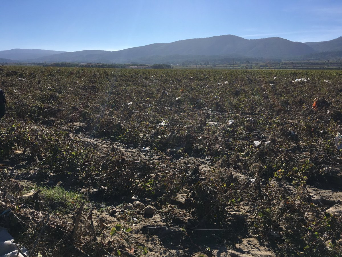 Fdsea de l'Aude tweet media