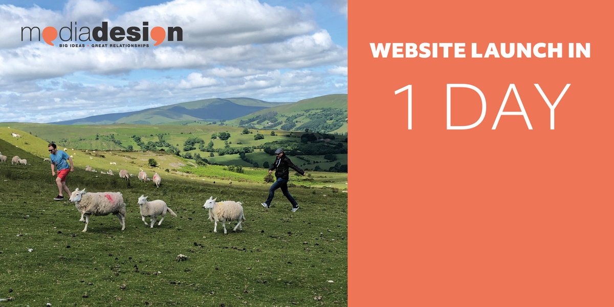 MediadesignLtd's tweet photo. #websitelaunch #designagency #design #art #branding #website #websitelaunch #designwales #welshdesign #graphicdesign #creative #mediadesign #webdesign #illustration #brecon #cardiff https://t.co/bDFVUtvKI3