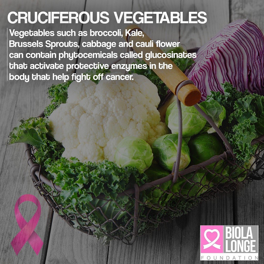 blfoundation_ng's tweet photo. Did you know??
Cruciferous vegetables such as broccoli, cabbage etc contains phytochemicals that activate protective enzymes in the body that help fight off cancer.
Ensure to add the cruciferous vegetables to your diet today.
#blfoundation
#breastcancerawareness
#awarenessmonth https://t.co/eH2kJvB6az