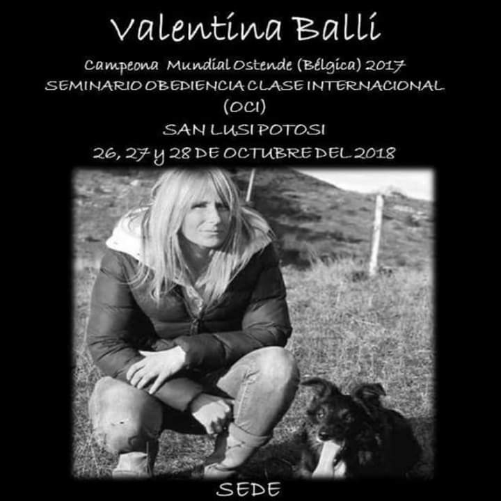 perroSAcuna's tweet photo. Saludos desde Monterrey rumbo al seminario de Valentina Balli 🐕🐾 https://t.co/XzMte3pJfb