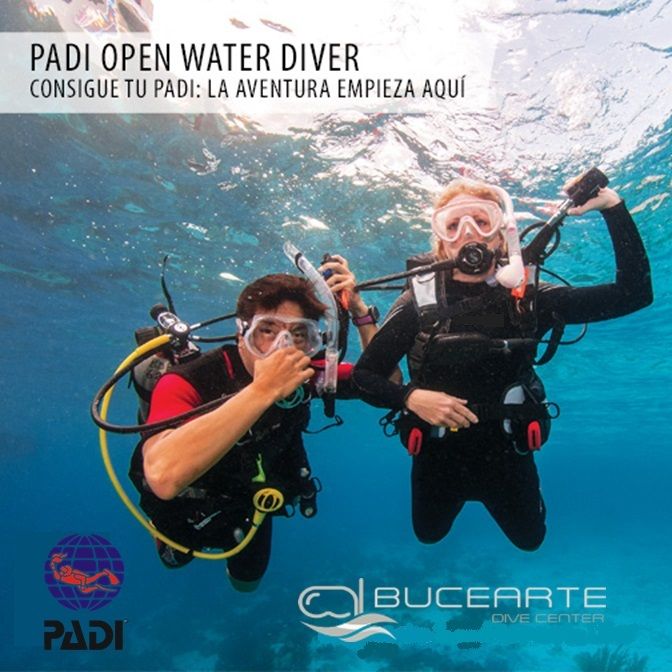 PADI Open Water Diver – el curso de buceo más popular y más reconocido del mundo. Millones de personas han aprendido a bucear y a descubrir las maravillas del mundo acuático por medio de este curso. #buceo #scuba #owd #curso #padi #aprendizaje #diversion #naturaleza #oceanos