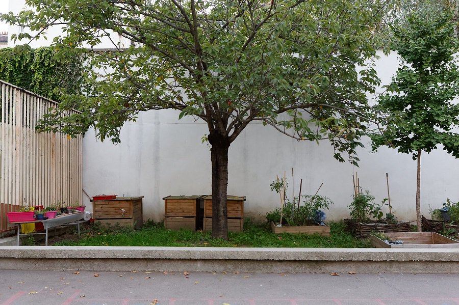 Paris's tweet image. En 2020, Paris comptera 100 hectares de toits, de façades et de murs végétalisés, et 20.000 nouveaux arbres dans l’espace public, dans les crèches et les collèges, par rapport à 2014 🌳 🌿 🌷

👉 bit.ly/2GS74vW